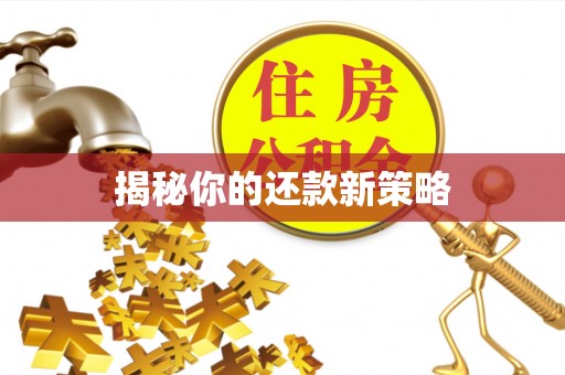 怀化揭秘你的还款新策略
