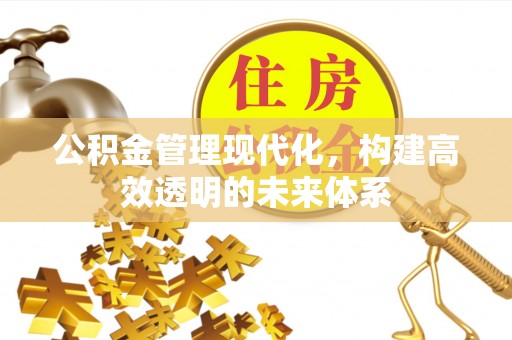 怀化公积金管理现代化，构建高效透明的未来体系