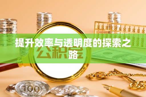 怀化提升效率与透明度的探索之路