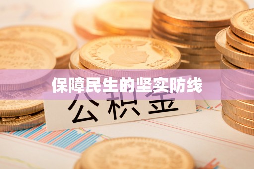 怀化保障民生的坚实防线