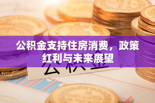 怀化公积金支持住房消费，政策红利与未来展望
