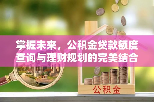 怀化掌握未来，公积金贷款额度查询与理财规划的完美结合