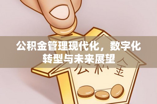 怀化公积金管理现代化，数字化转型与未来展望