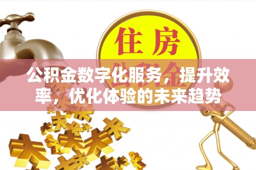 怀化公积金数字化服务，提升效率，优化体验的未来趋势