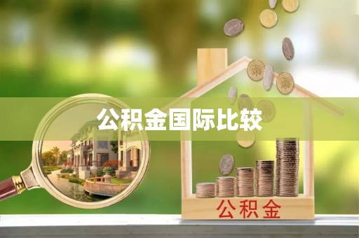 怀化公积金国际比较