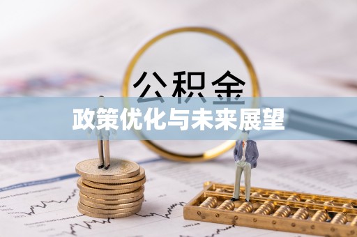 怀化政策优化与未来展望