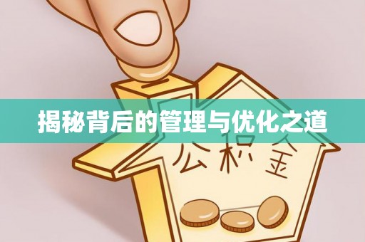 怀化揭秘背后的管理与优化之道