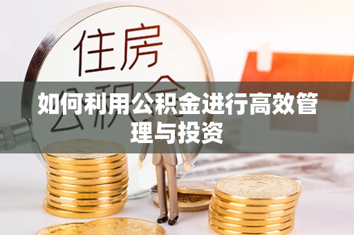 怀化如何利用公积金进行高效管理与投资