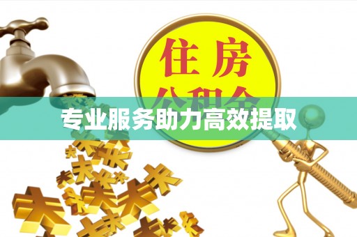 怀化专业服务助力高效提取