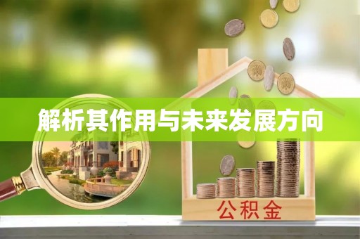 怀化解析其作用与未来发展方向