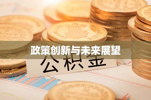 怀化政策创新与未来展望