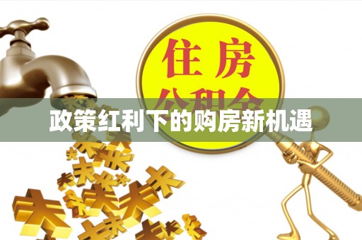 怀化政策红利下的购房新机遇